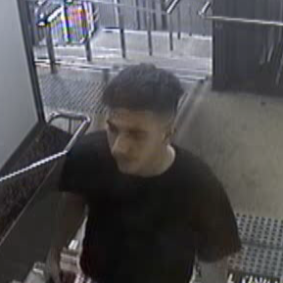 NSW police are appealing for the public's help after a woman was allegedly stalked. 