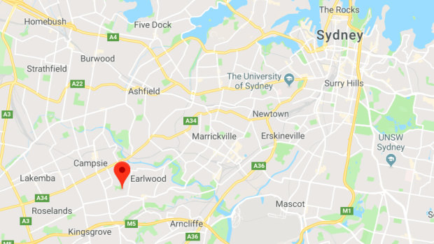 A man is in a critical condition after being shocked by a power line in Earlwood in Sydney's south-west.