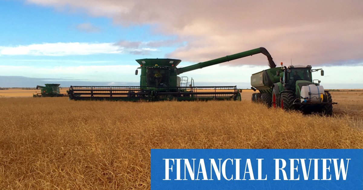 Expanding farmers driving up WA wheat belt values - Vimarsana News