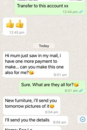 Text messages sent to scam victim Nina Merrilees.