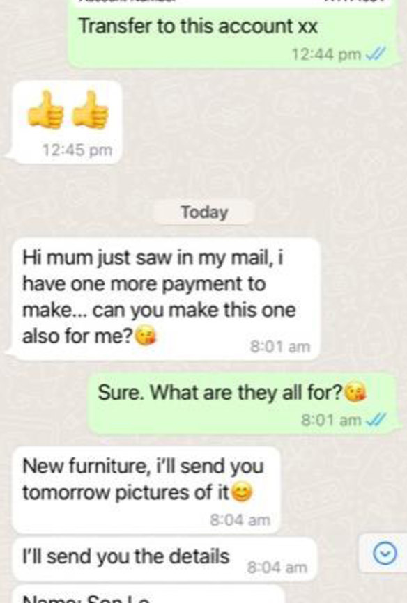 Text messages sent to scam victim Nina Merrilees.