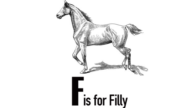 Not to be confused with a colt.