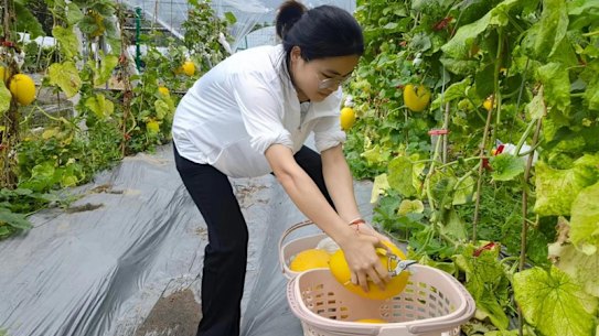 Guangdong has set a target of getting 300,000 young Chinese students into the country.