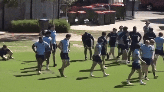 Waratahs players in a fight at training.