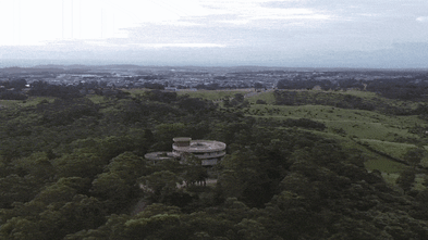 Sydney man died in suspected dog attack at iconic ‘Saturn’s Rings’ property
