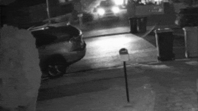 St John Park Home Invasion: Residents Gagged and Zip-tied
