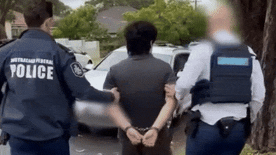 Man in court over alleged threats to kill Anika Wells