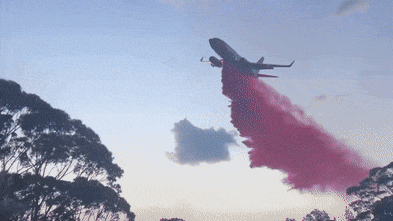 ‘Not yet controlled’: Air tanker douses flames in South Coast fire