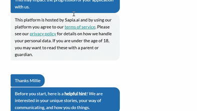We applied to a job at Kmart. An AI bot did the interview