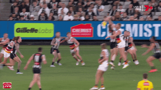 Scott Pendlebury has been offered a one-match ban.