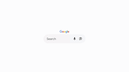 Google search bar
