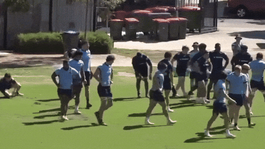 Waratahs players in a fight at training.