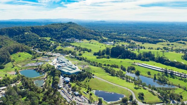 The chicken farm in Mount Cotton.