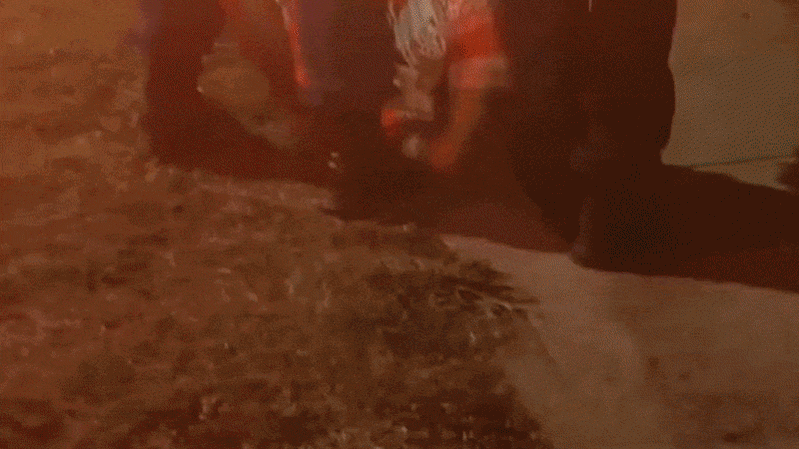 Man dragged from flames after driver allegedly hit multiple cars