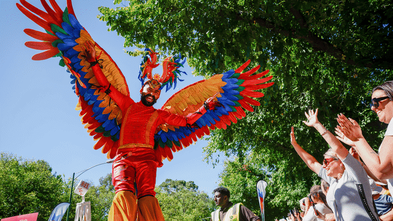 Colour and controversy as Moomba Parade marches through Melbourne