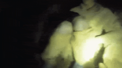 ‘People were cheering’: Five found alive after a week trapped in flooded cave, two still missing