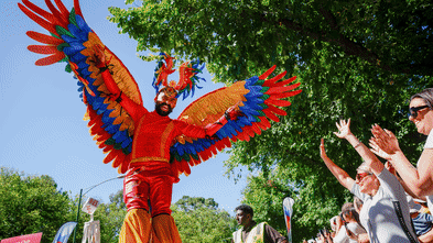 Colour and controversy as Moomba Parade marches through Melbourne