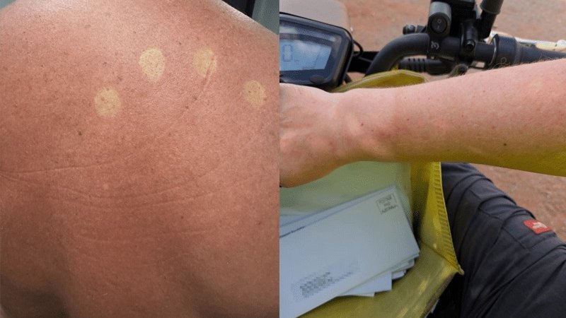 Return to sender: Red faces (and bodies) over Australia Post uniform bungle