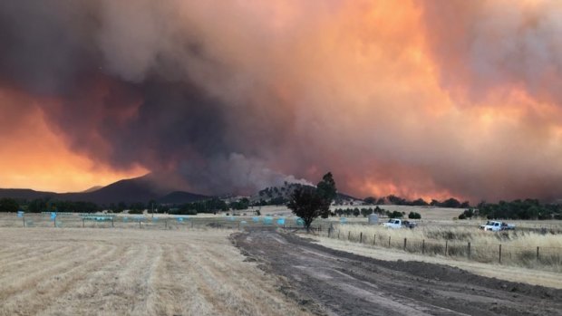 Fires approaching the Briggs' cattle  farm in Cudgewa, near Corryong.