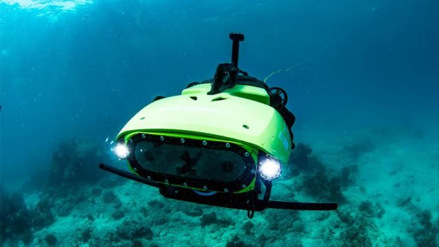 A newly developed robot makes a world-first baby coral delivery to Great Barrier Reef
