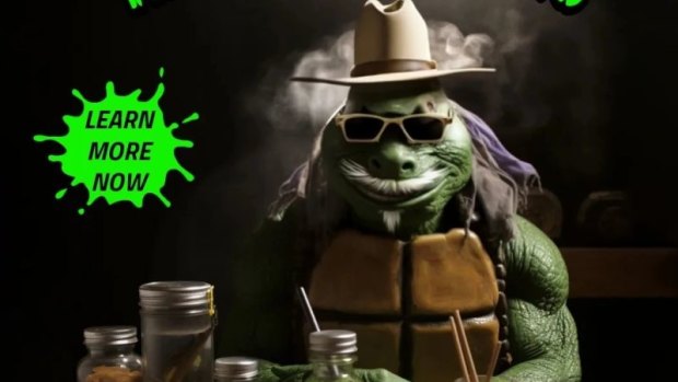 Part of an ad for the Healing Leaves clinic, which employed imagery reminiscent of the Teenage Mutant Ninja Turtles cartoon. 