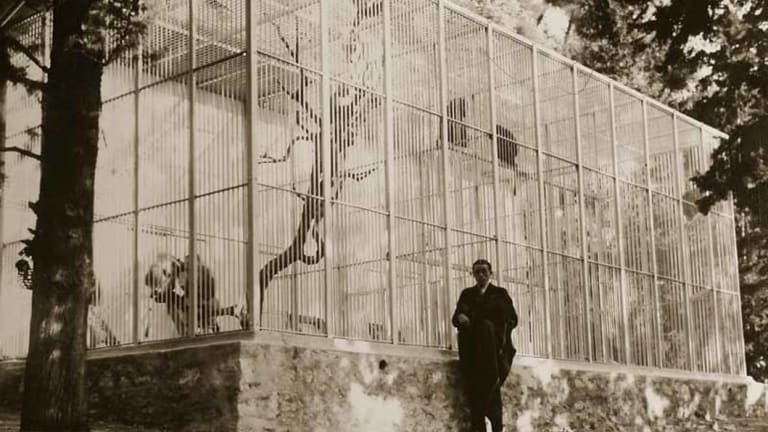 Monkey cage: Dr Sergei Voronoff grafted ape testicles onto rich old men.