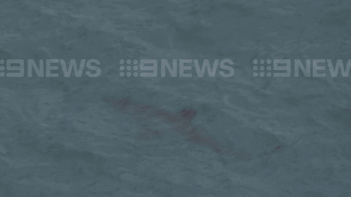 一名游泳者在珀斯海滩被鲨鱼袭击后死亡