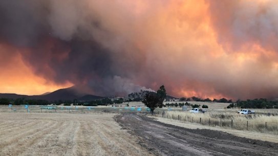 Fires approaching a cattle  farm in Cudgewa, near Corryong, earlier this week.
