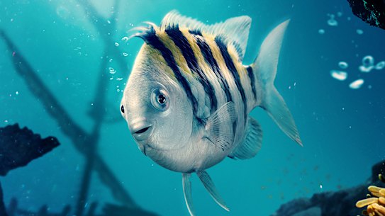 Frightening Flounder.