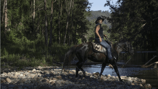 The Great Koala National Park will affect many people living and working on the Mid North Coast.