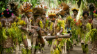Tufi is a prime spot to learn more about local culture,