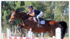 Jamie Winning in action. Showjumping will now be part of the line up at Magic Millions. 