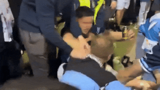 A crowd brawl at the Sharks and Roosters game on Saturday.