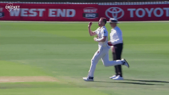 Labuschagne couldn’t make the most of this lucky break in the Shield final.