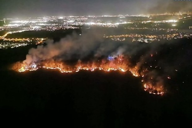 Flames broke out in the Wongawallan Gully on Friday afternoon, forcing backburn operations, as emergency crews raced to protect nearby homes in the Gold Coast Hinterland.