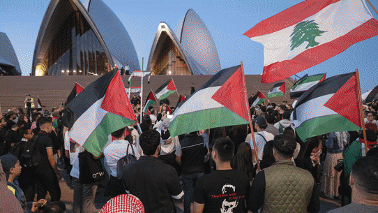 Pro-palestine protests.