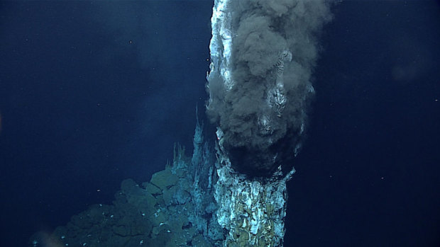 ‘Hoots and high fives’ as scientists find spectacular undersea vents