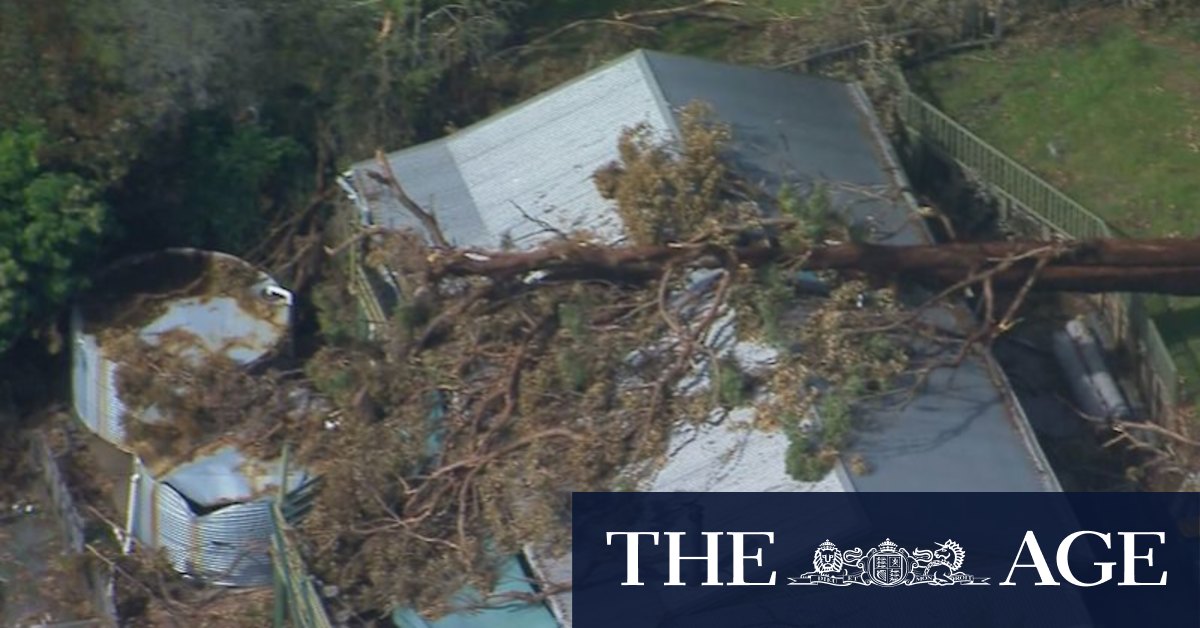 Power back on at 125K Queensland homes after wild storm - Vimarsana News