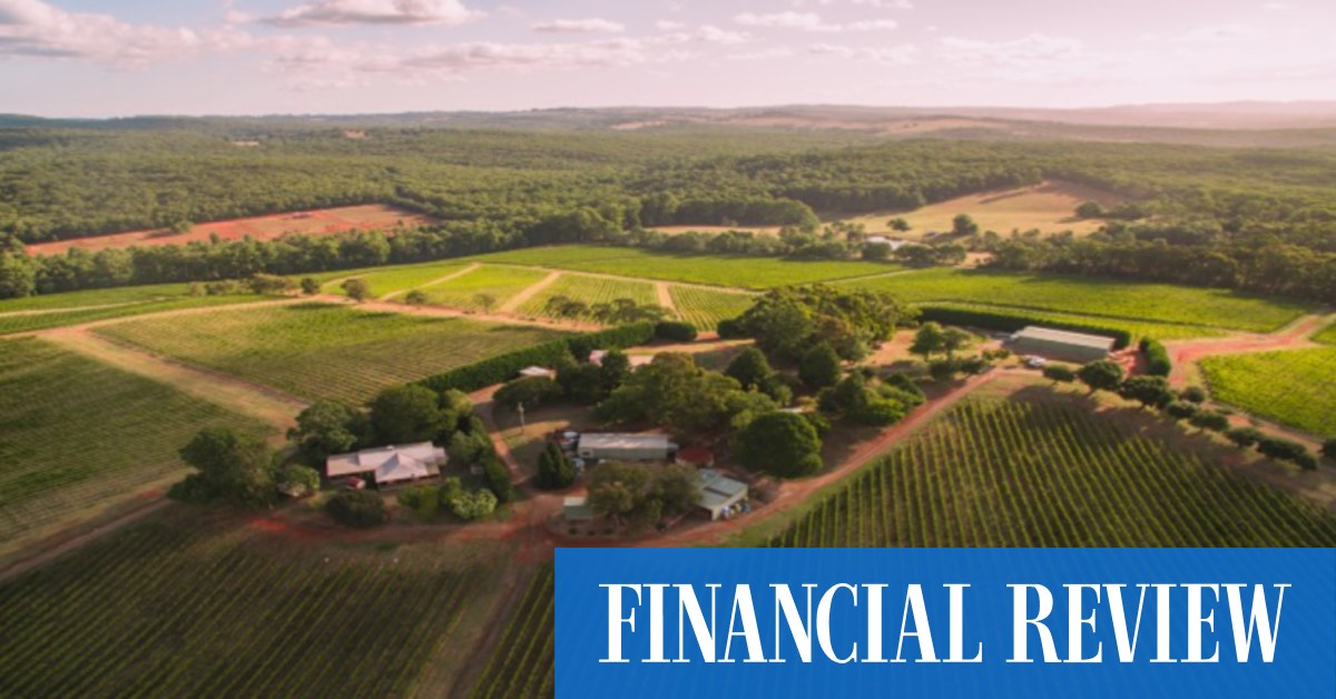Treasury Wine Estates snaps up Accolade's Yarra Valley vineyard - Vimarsana News