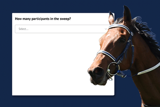 Take your chances in our Melbourne Cup sweep generator.