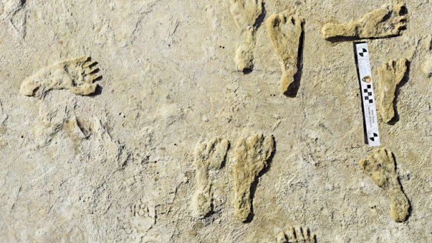 Fossil human footprints discovered in White Sands, New Mexico likely date back to between 21,000 and 23,000 years ago, according to two lines of scientific evidence published on October 5.