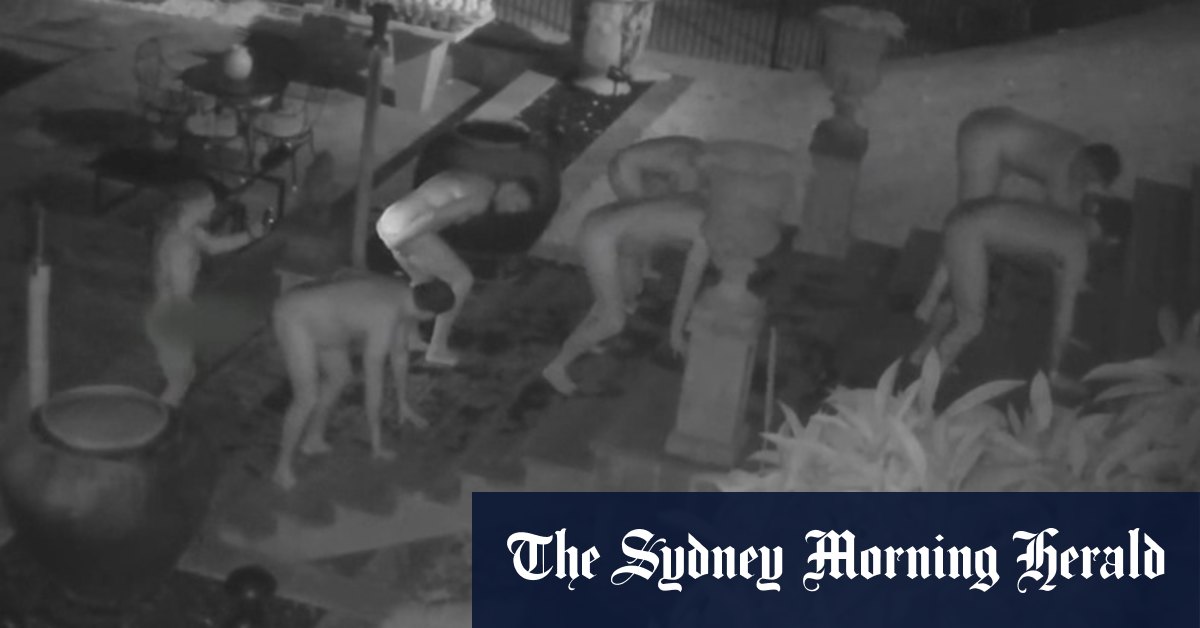 ‘Naked invaders’: Police investigate skinny-dippers after ,000 of damage – Sydney Morning Herald