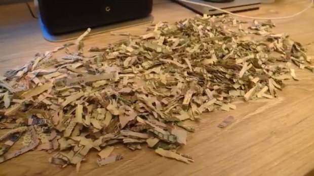 The cash was put through a shredder and meticulously recovered by Leo's parents.
