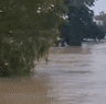 Qld Floods GIF