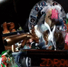 Ireland’s 2008 Eurovision entrant Dustin The Turkey perform their song Irlande Douze Pointe.