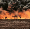 McCurry