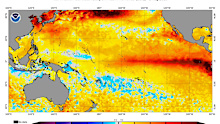 Sea surface temperatures in the Pacific Ocean are far higher than the average.
