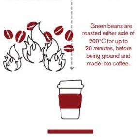 Seed to cup: how coffee is produced.