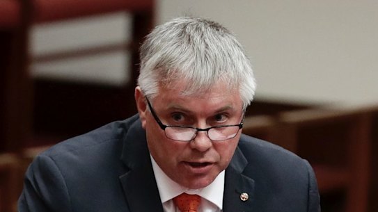 Centre Alliance senator Rex Patrick  during Question Time in the Senate last year. 