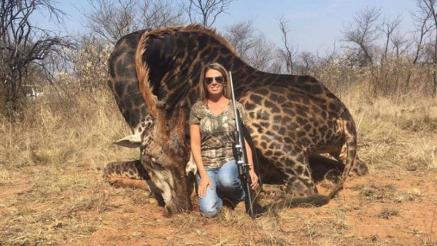 A black giraffe allegedly shot by American hunter Tess Thompson Talley, as posted on Twitter by the South Africa-based AfricLand Post website.